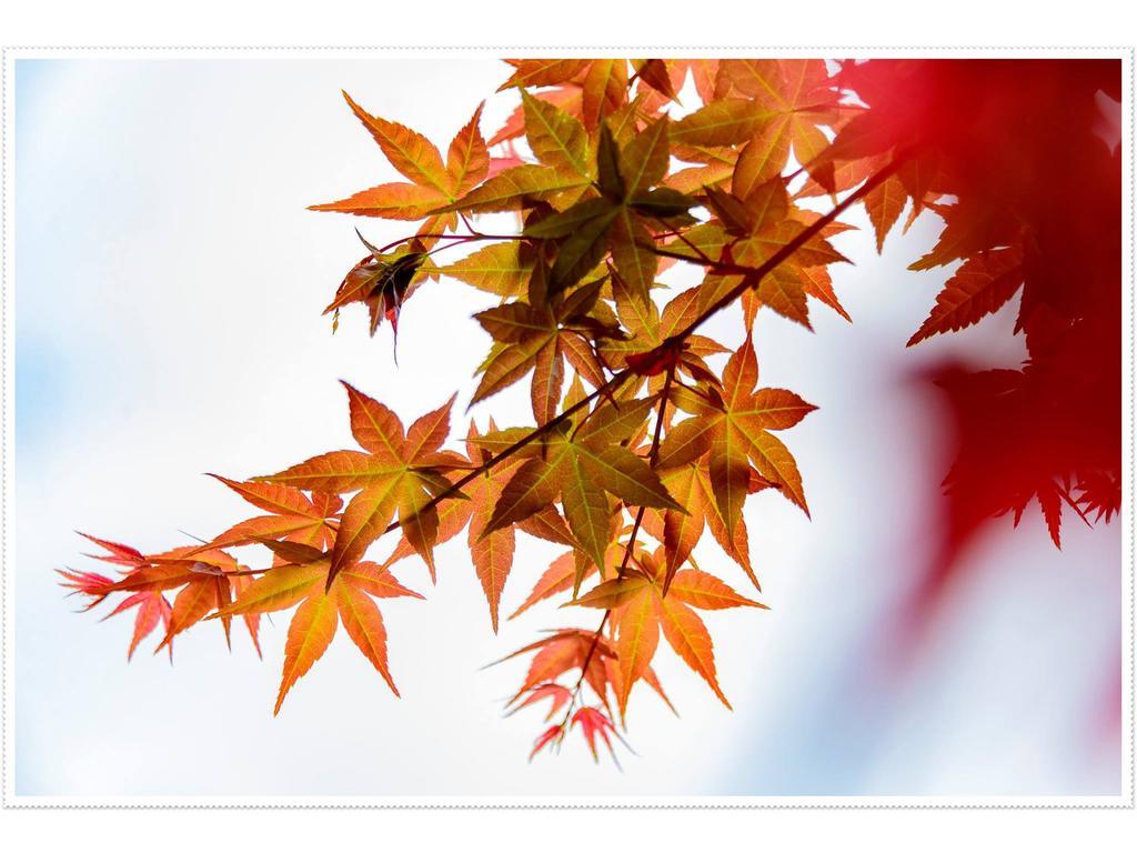 Maple' Smile Lägenhet Taipei Exteriör bild